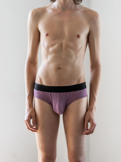 Amsterdam Brief