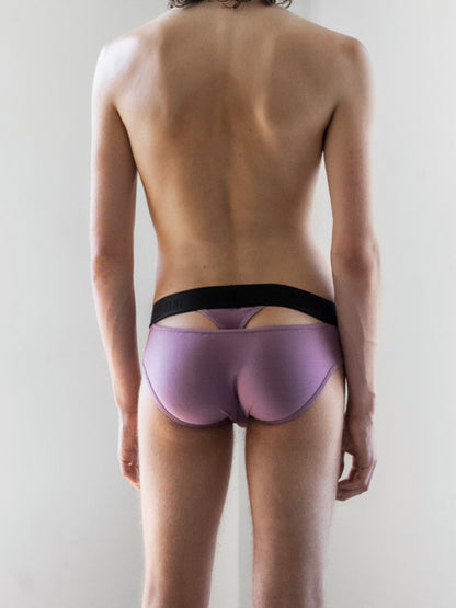 Amsterdam Brief